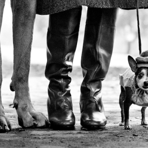 Visite guidée de l'exposition Elliott Erwitt au musée Maillol à Paris