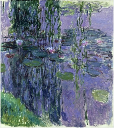 Visite guidée de l'exposition Monet Peindre le temps au musée de l'Orangerie
