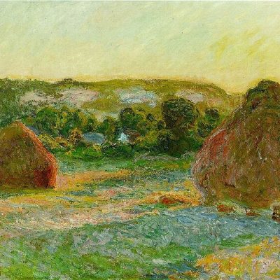 Visite guidée de l'exposition Monet Peindre le temps au musée de l'Orangerie