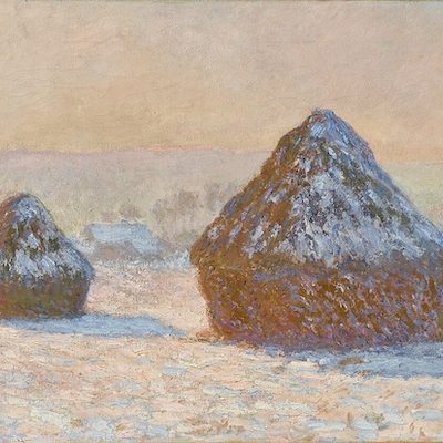 Visite guidée Monet Peindre le temps au musée de l'Orangerie