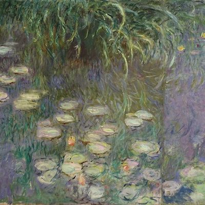 Visite guidée de l'exposition Monet - Peindre le temps à l'Orangerie